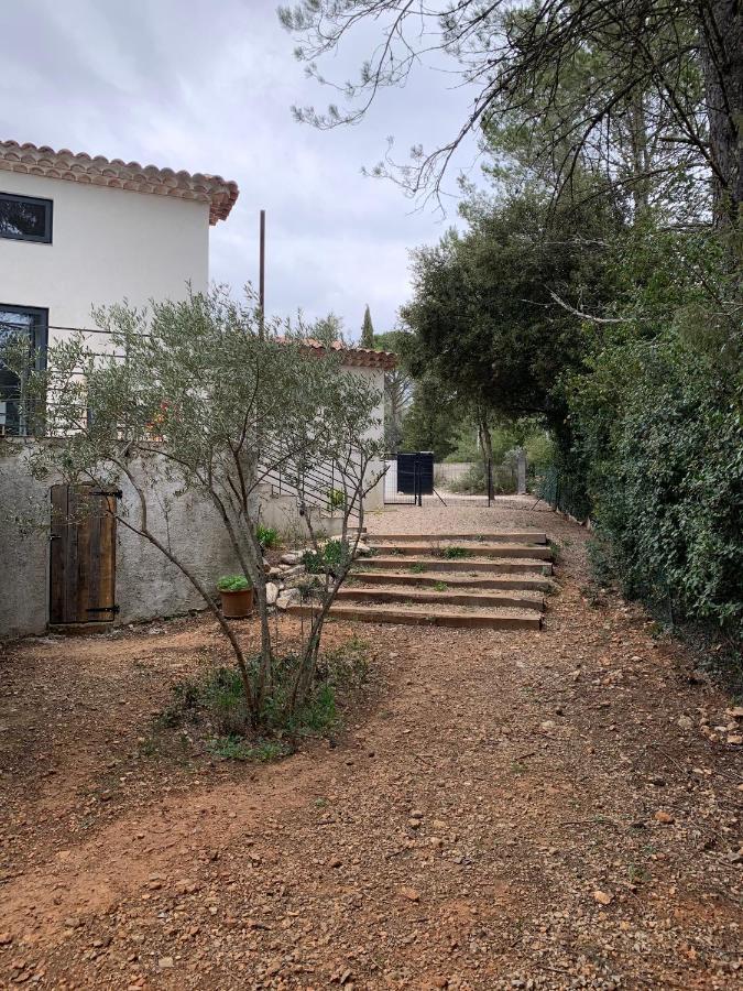 Magnifique Villa Classee 4* Meuble De Tourisme Flassans-sur-Issole Exterior photo